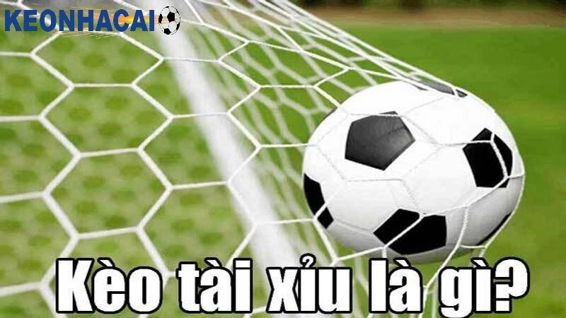 Hiểu rõ kèo tài xỉu là gì?